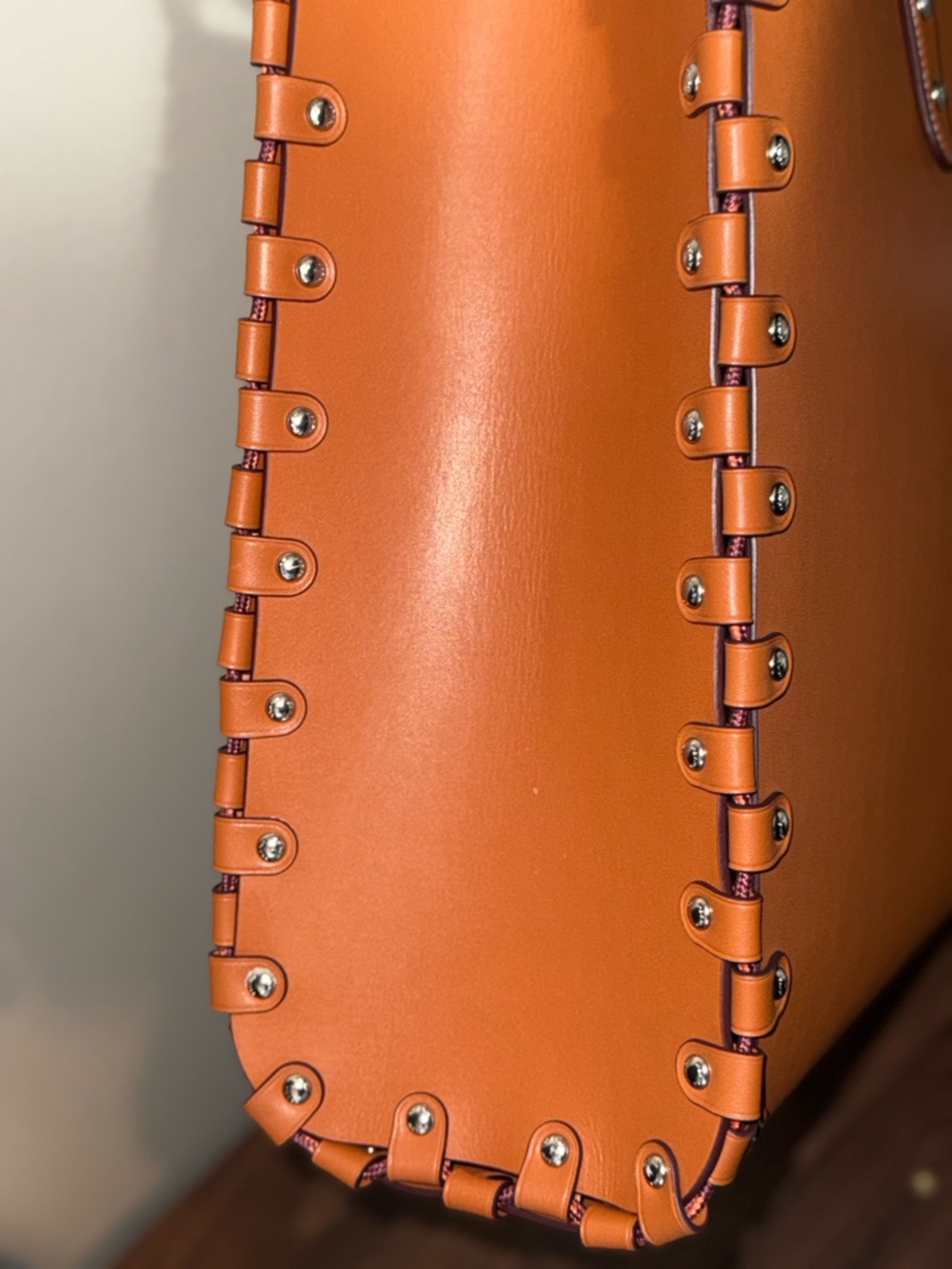 Coachtopia The Re-Laceable Tote: Large - Picture 10 of 12
